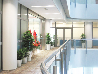 �����̻�ֲ������